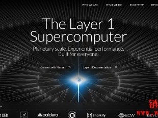 什么是Nexus Layer 1？深入解析区块链超级计算机