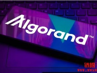 什么是 Algorand 区块链？Algorand 有何独特之处？