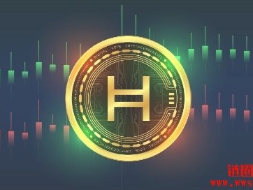 什么是 Hedera 区块链？如何使用？