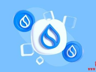 什么是SUI区块链？SUI生态系统及其关键组成部分