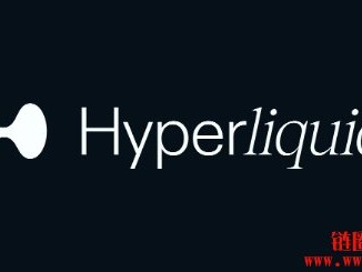 什么是Hyperliquid区块链以及HYPE币？一文详解