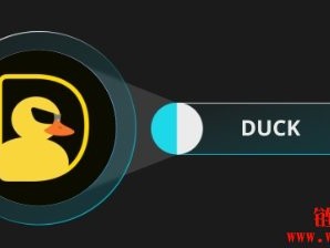 什么是DuckChain（DUCK币）？如何运作？