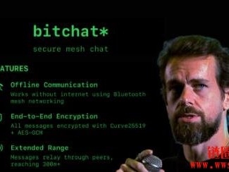 Bitchat 是什么？Bitchat不需要网络也能加密传信息？