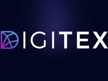 Digitex项目评析