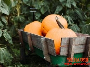 Melon Protocol：一站式资产管理平台介绍