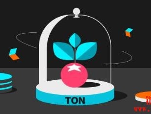 Tomarket是什么平台？一文详解