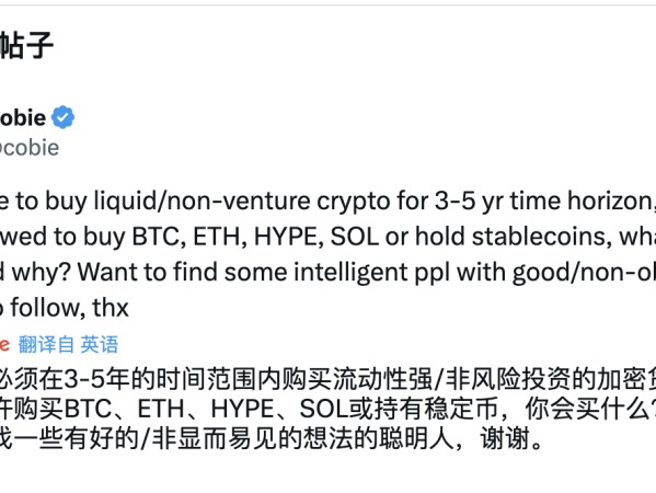 除了 BTC 和 ETH，这些大佬眼中的 3-5 年最佳加密投资标的是？