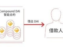 Compound完全解析-利率模型篇