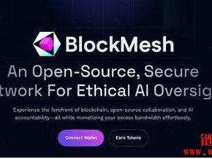 什么是BlockMesh网络？如何运作？
