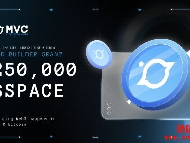 MicroVisionChain（MVC）是如何运作的？