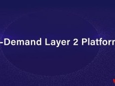 什么是Tokamak Network？如何提高以太坊的可扩展性？