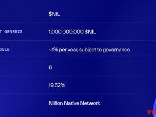 什么是Nillion？Nillion 的代币经济学和特点