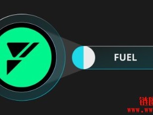 什么是Fuel Network（FUEL币）？彻底改变区块链可扩展性