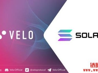 什么是Velo Lab？最新更新与消息