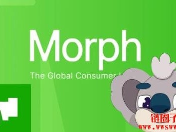 消费级公链是什么？Morph Blakc卡与各U卡数据对比